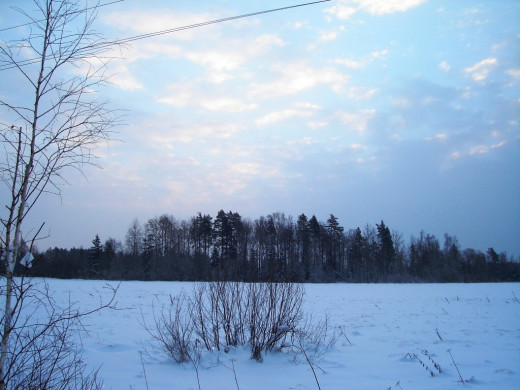 23686 (a): :1024x768